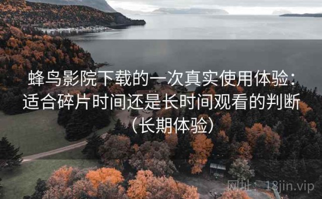 蜂鸟影院下载的一次真实使用体验：适合碎片时间还是长时间观看的判断（长期体验）
