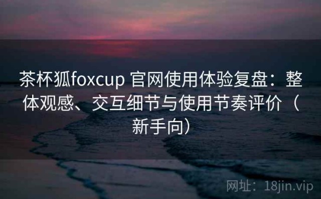 茶杯狐foxcup 官网使用体验复盘：整体观感、交互细节与使用节奏评价（新手向）