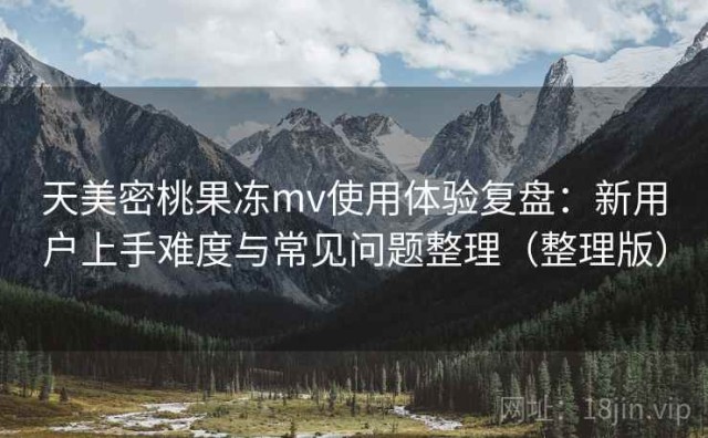 天美密桃果冻mv使用体验复盘：新用户上手难度与常见问题整理（整理版）