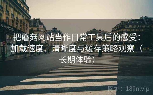 把蘑菇网站当作日常工具后的感受：加载速度、清晰度与缓存策略观察（长期体验）