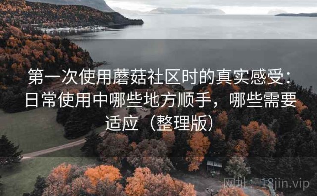 第一次使用蘑菇社区时的真实感受：日常使用中哪些地方顺手，哪些需要适应（整理版）