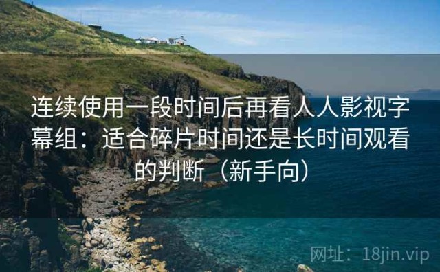 连续使用一段时间后再看人人影视字幕组：适合碎片时间还是长时间观看的判断（新手向）
