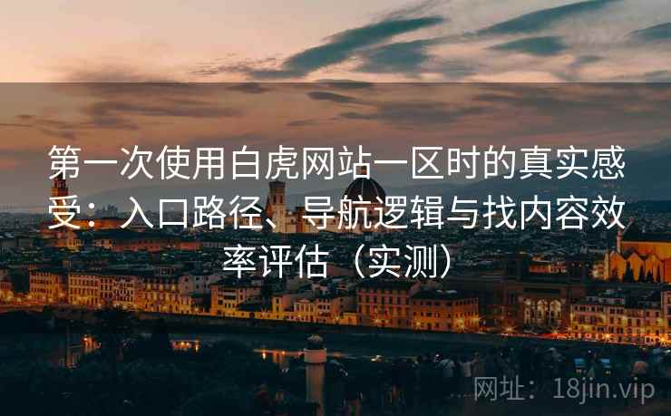 第一次使用白虎网站一区时的真实感受：入口路径、导航逻辑与找内容效率评估（实测）
