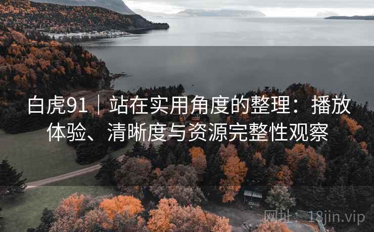 白虎91|站在实用角度的整理:播放体验、清晰度与资源完整性观察 白虎91|站在实用角度的整理:播放体验、清晰度与资源完整性观察
