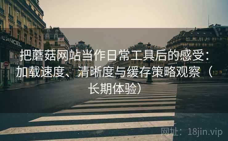把蘑菇网站当作日常工具后的感受：加载速度、清晰度与缓存策略观察（长期体验）