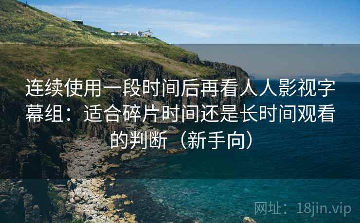 连续使用一段时间后再看人人影视字幕组：适合碎片时间还是长时间观看的判断（新手向）