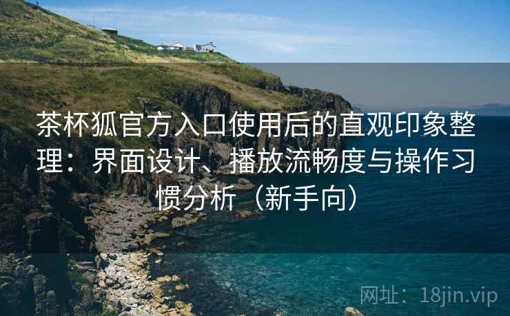 茶杯狐官方入口使用后的直观印象整理：界面设计、播放流畅度与操作习惯分析（新手向）